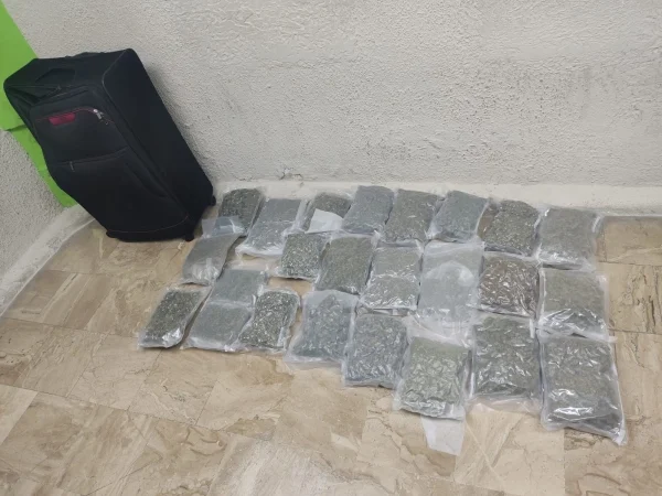 Capturan a una mujer canadiense con 23 paquetes de marihuana en el aeropuerto de Punta Cana