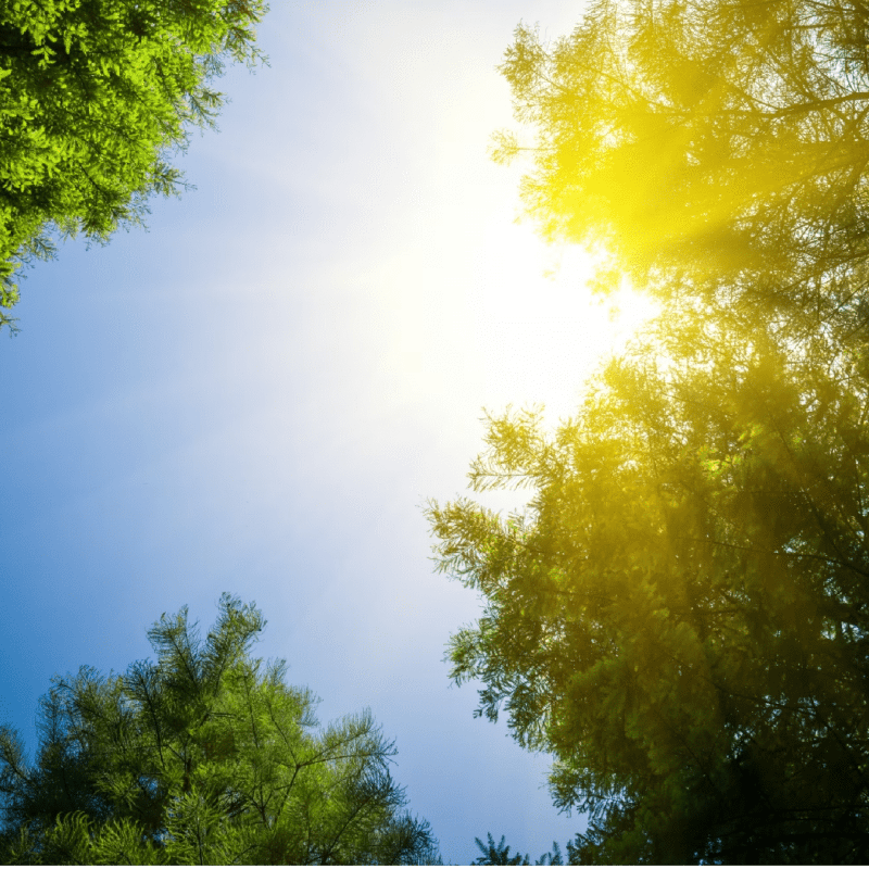 Indomet prevé buen tiempo y lluvias locales