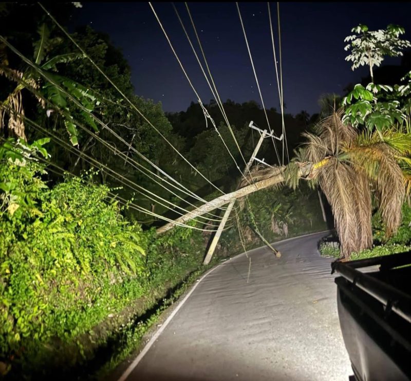 Residentes de Las Terrenas sin luz tras caída de palma sobre cables eléctricos Residentes de Las Terrenas sin luz tras caída de palma sobre cables eléctricos