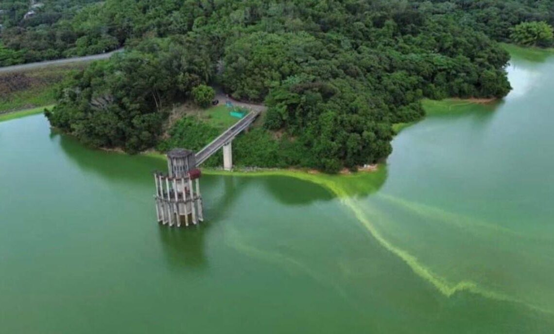 Alarma en Cotuí por extraño cambio de color en las aguas de la Presa de Hatillo Alarma en Cotuí por extraño cambio de color en las aguas de la Presa de Hatillo